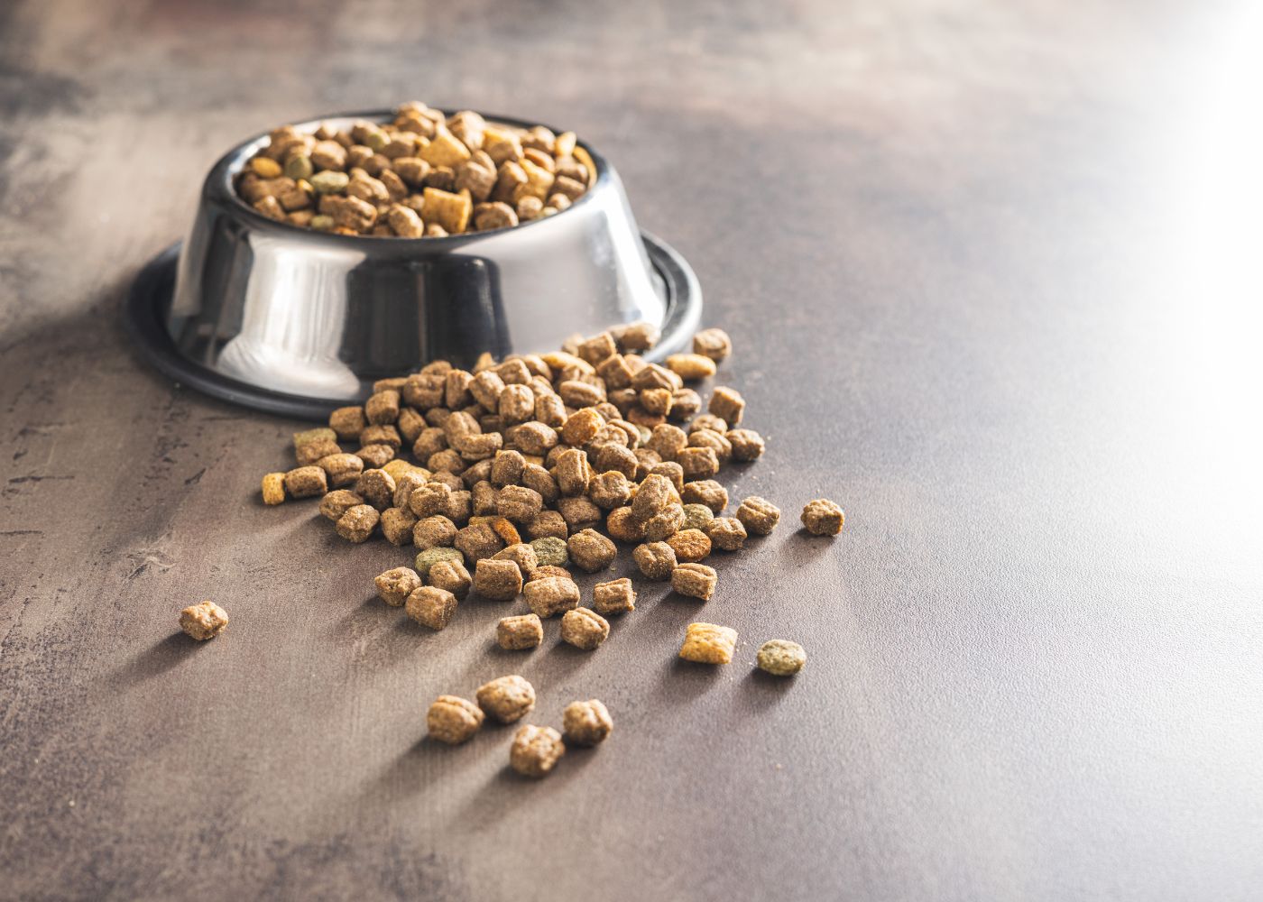 croquettes chat sans cereales