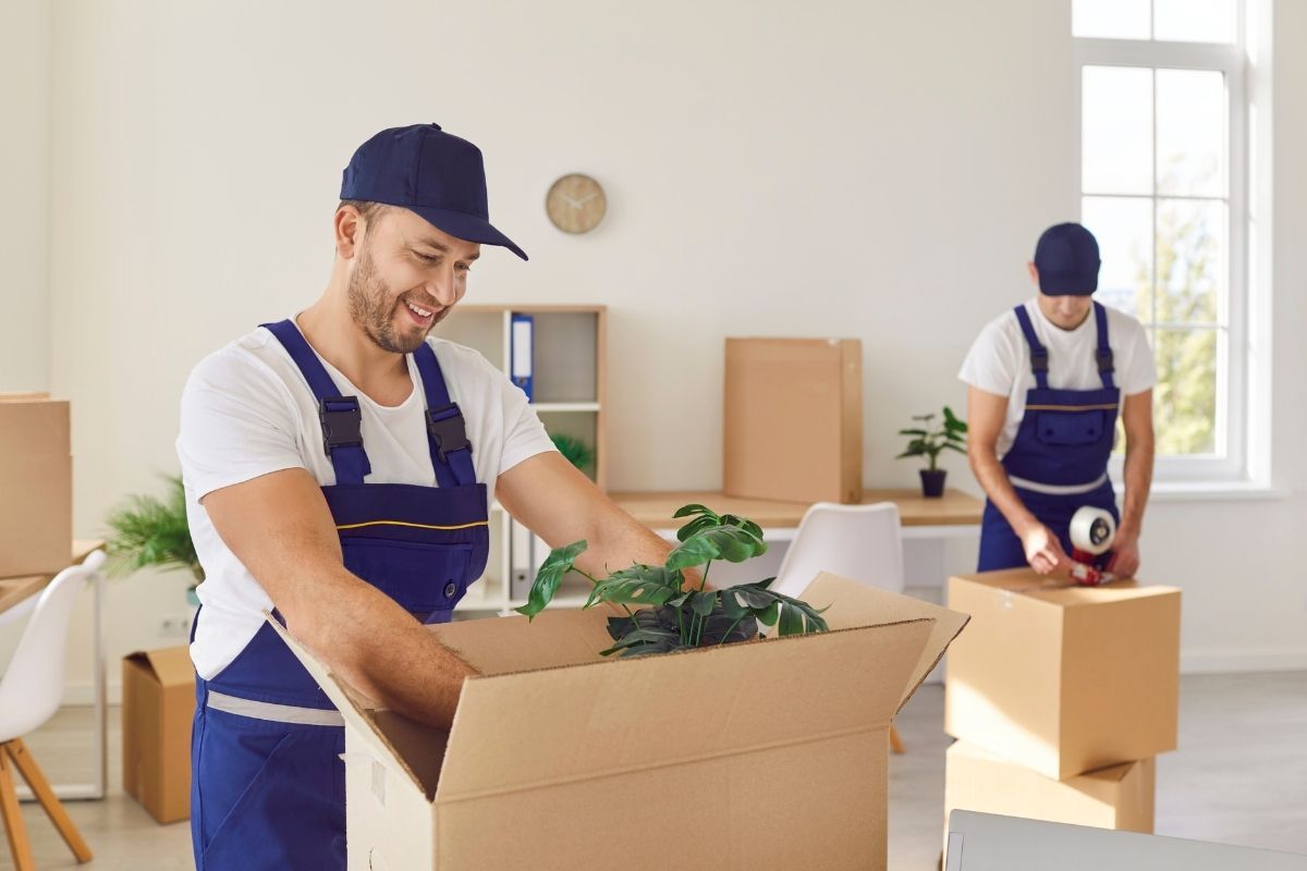 Un ERP efficace pour les professionnels des services